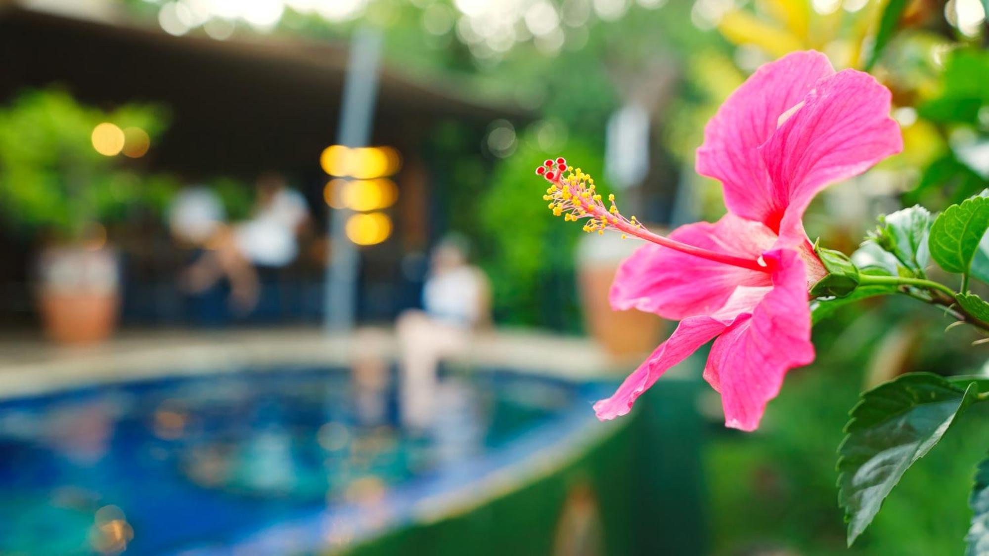 Shongwe Lookout Villa Air Terjun Victoria Bagian luar foto